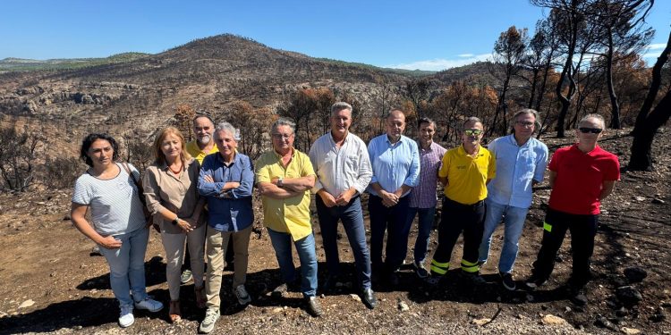 Teresa de Cofrentes comienza a recuperar su entorno tras el incendio de agosto