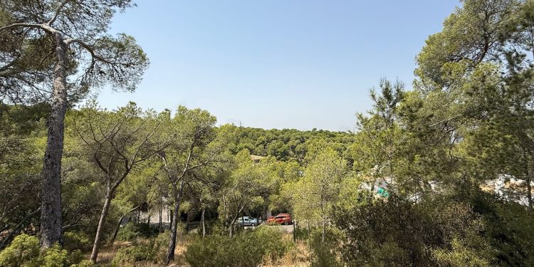 Torrent blinda el Vedat frente al calor extremo