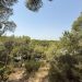 Torrent blinda el Vedat frente al calor extremo