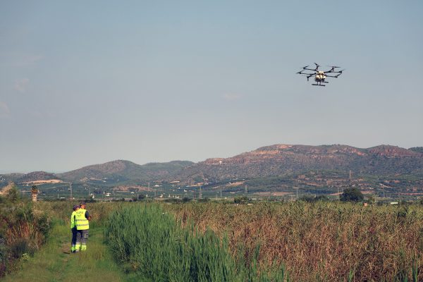 Sagunto intensifica la lucha contra los mosquitos con tratamientos aéreos