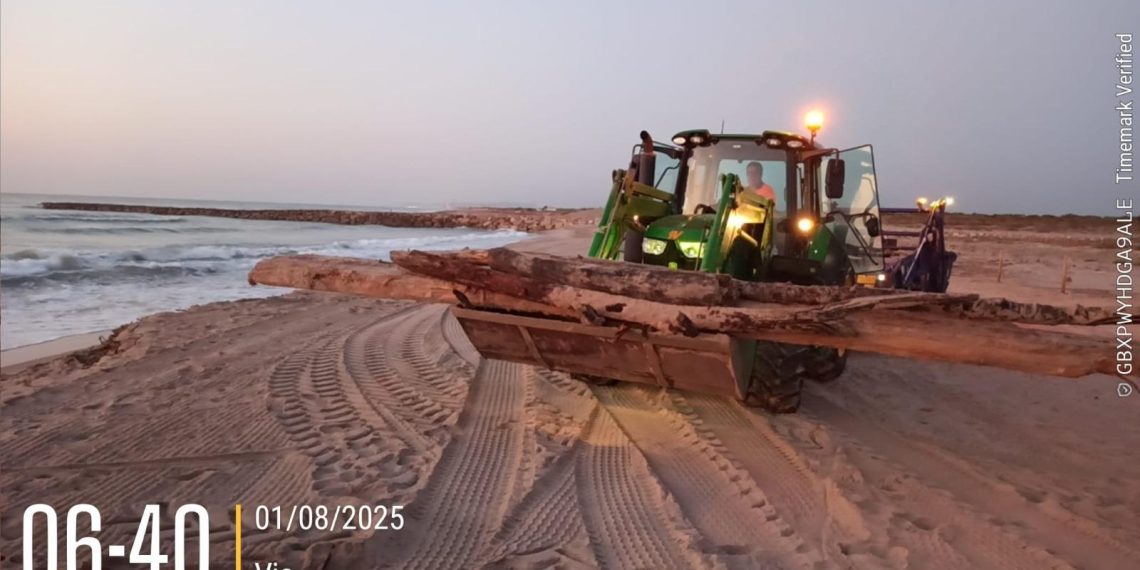 Vuelve la limpieza con maquinaria a las playas del sur de Valencia tras la temporada de nidificación del chorlitejo patinegro