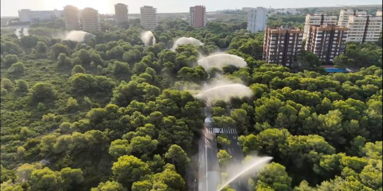 Ocho cañones de agua para proteger la Devesa ante el riesgo extremo de incendios