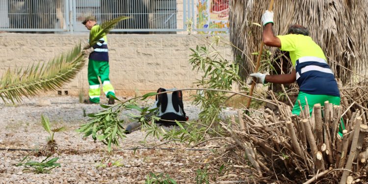 Torrent refuerza la limpieza y la prevención de incendios con brigadas y planes de empleo