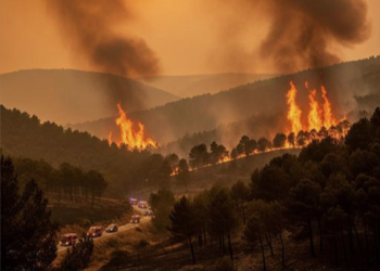 Ayuntamiento Valencia envía ayuda a incendios en Castilla y León