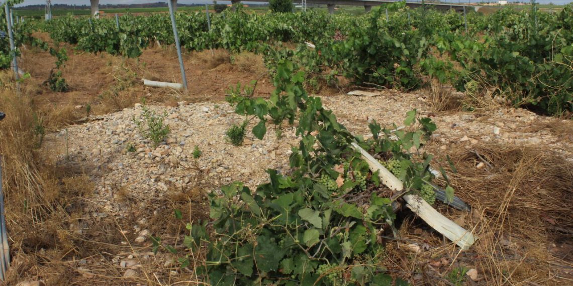 LA UNIÓ denuncia el limbo administrativo en el que se encuentran el 6% de las parcelas afectadas por la dana sin saber si recibirán ayudas ni cuándo las cobrarán