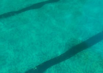 Ciudadanos critica la dejadez en la piscina municipal de Moncada