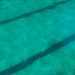 Ciudadanos critica la dejadez en la piscina municipal de Moncada