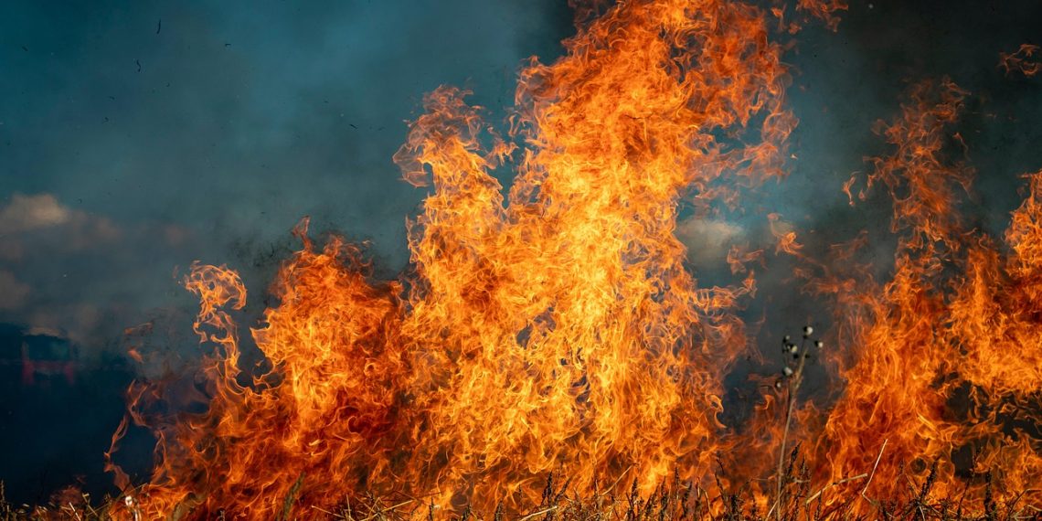 España en llamas, un verano donde el Gobierno habla más que actúa