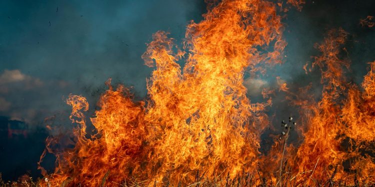 España en llamas, un verano donde el Gobierno habla más que actúa