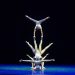 La magia del Gran Circo Acrobático de China llega a Valencia