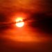 Aviso especial por temperaturas de hasta 41ºC y riesgo máximo de incendios en la Comunidad Valenciana