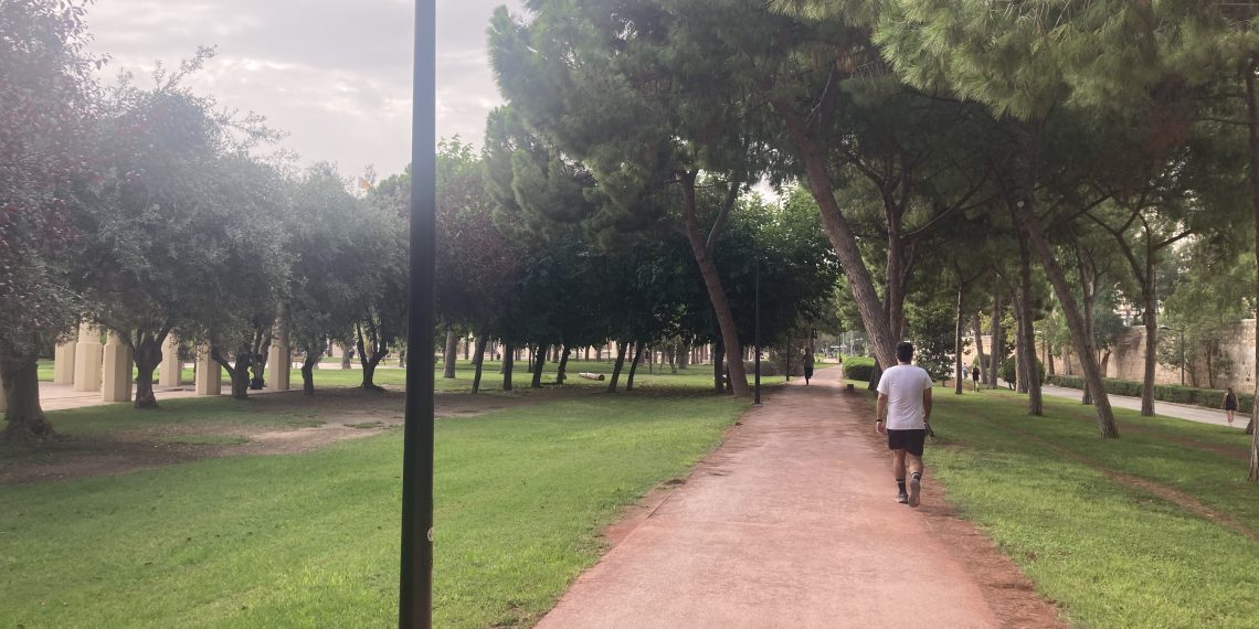 Arrancan las obras para mejorar la iluminación del Circuito de Running del Jardín del Túria
