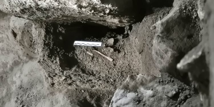La Cova de l’Or reabre en octubre con un recorrido ampliado y nuevos contenidos expositivos