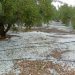 El pedrisco arrasa cultivos en la Vall d’Albaida, la Costera, la Safor y la Marina Alta