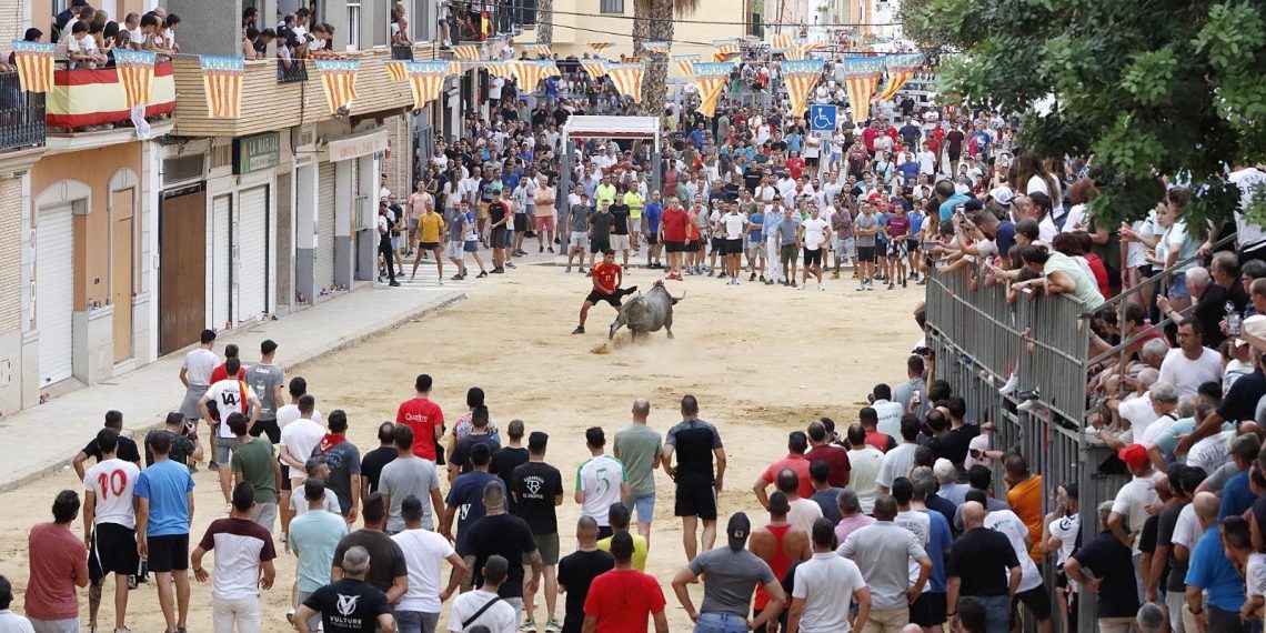 À Punt ofrece en directo el Día Grande de Puzol con la desencajonada de cinco toros