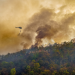 La temporada de incendios sigue activa y las últimas víctimas recuerdan que no podemos bajar la guardia