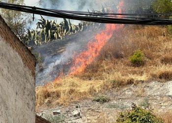 VOX presenta ante el Supremo la querella contra los responsables de los incendios por delitos de homicidio imprudente, incendio en zona forestal y contra los trabajadores