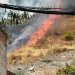 VOX presenta ante el Supremo la querella contra los responsables de los incendios por delitos de homicidio imprudente, incendio en zona forestal y contra los trabajadores