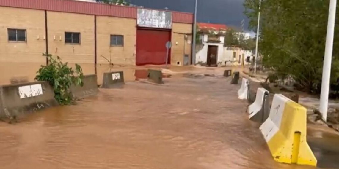 VOX Manises propone emplear a desempleados en tareas de limpieza de imbornales y desagües para prevenir inundaciones