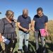 Agricultores reclaman igualdad en el uso de fitosanitarios para el arroz