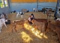 Una joven ganadera de AVA-ASAJA apuesta por la sostenibilidad, la educación y el turismo rural