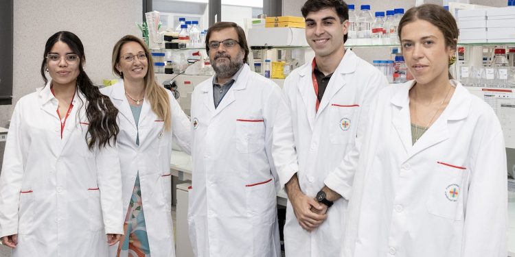 Las hojas y corteza del anacardo, clave para frenar el envejecimiento celular