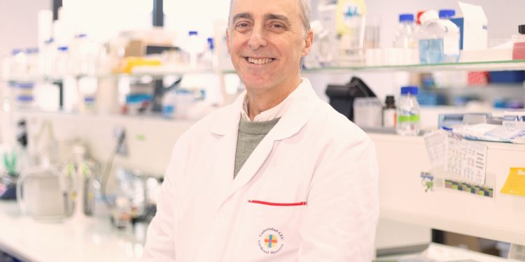 Un hallazgo en Valencia revela cómo las bacterias se vuelven más resistentes