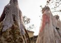 La alcaldesa dará a conocer esta tarde el nombre de las falleras mayores 2026