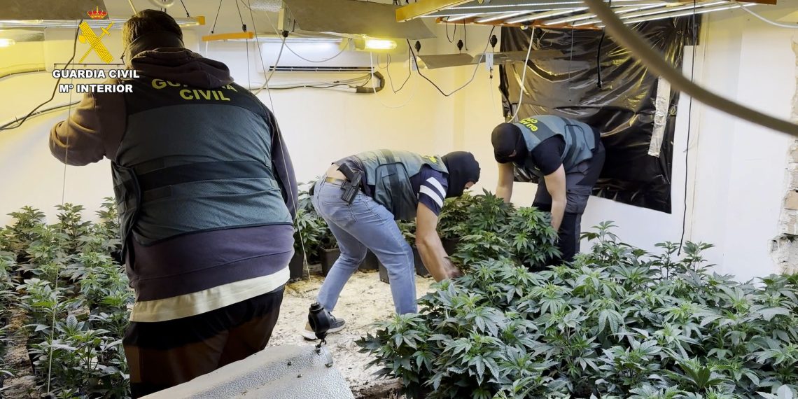Desmantelada una red internacional de tráfico de marihuana con ramificaciones en Granada, Málaga y Valencia