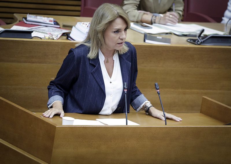 Camarero presenta la nueva Ley de Perros de Asistencia de la Comunitat Valenciana