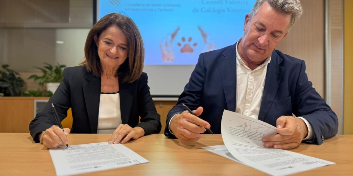 La Comunitat Valenciana incorpora la custodia compartida de mascotas al registro oficial