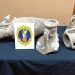 La Policía recupera en Santa Pola y Elche varias ánforas romanas procedentes de yacimientos subacuáticos