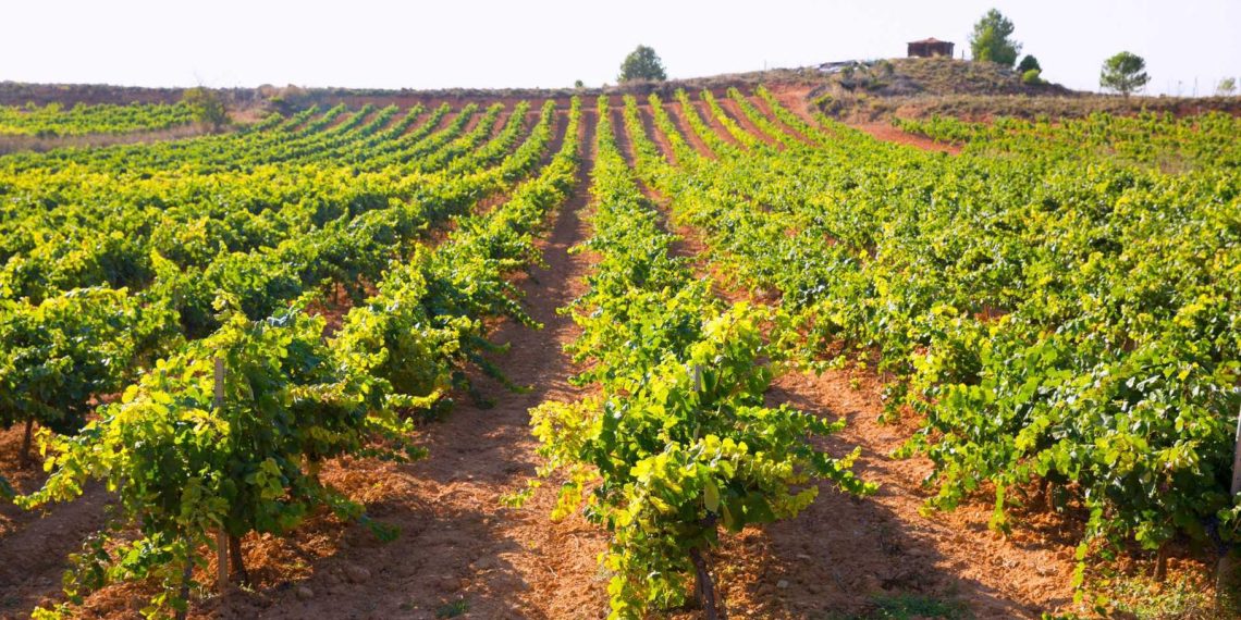 La Comunitat Valenciana se suma al proyecto europeo EURADAPT para reforzar la adaptación al cambio climático