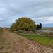 La agroindustria valenciana da un salto digital y sostenible con GOS ACCESO