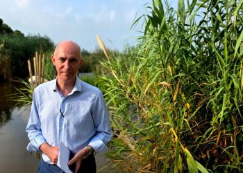 Valencia actualiza el proyecto para integrar los antiguos viales de L’Aterrisador en la Devesa