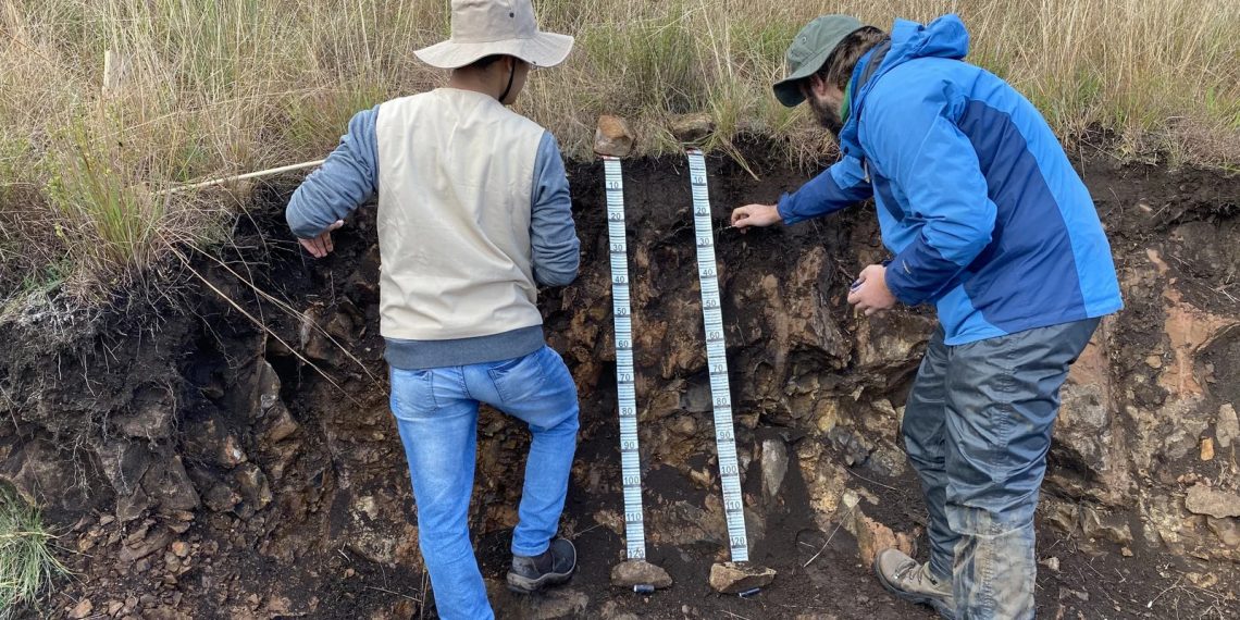 Los parques naturales de la Font Roja y Sierra de Mariola acogen el curso científico-formativo de análisis de suelos con la participación de equipos de ocho universidades europeas.