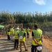 La Generalitat invierte 21,2 millones en modernizar la red de riego de la Vega Baja