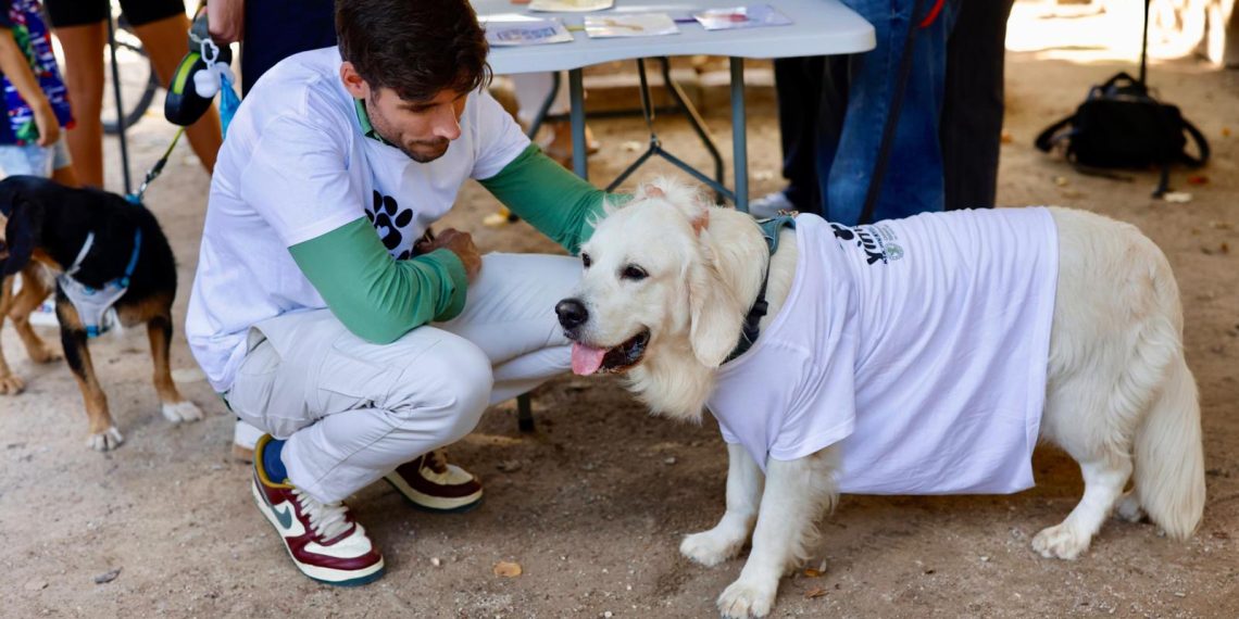 El Ayuntamiento de Valencia permitirá el acceso de los animales a los edificios públicos