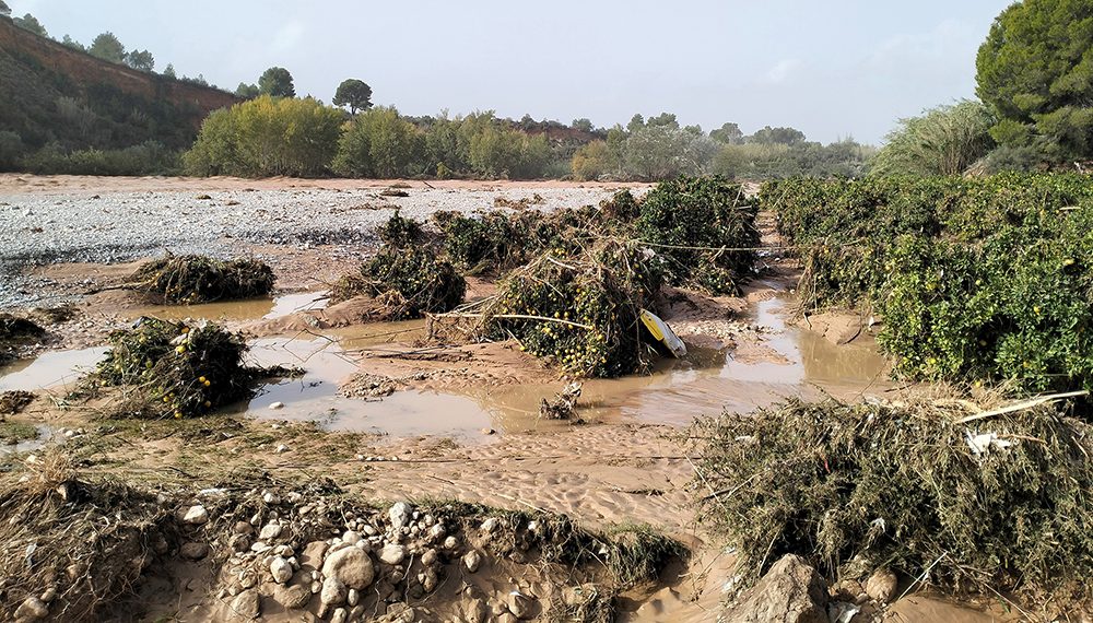 AVA-ASAJA solicita al Miteco ayudas por pérdida de campos a Dominio Público Hidráulico