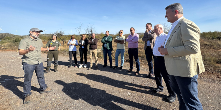 La Generalitat refuerza la restauración forestal en las zonas afectadas por los incendios de 2022