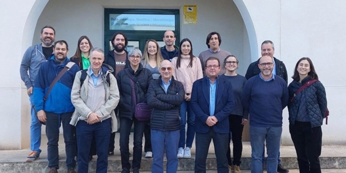 Ivace+i Innovación financia mejoras en la técnica de edición genética para obtener cultivos más resistentes frente a las plagas y sequía