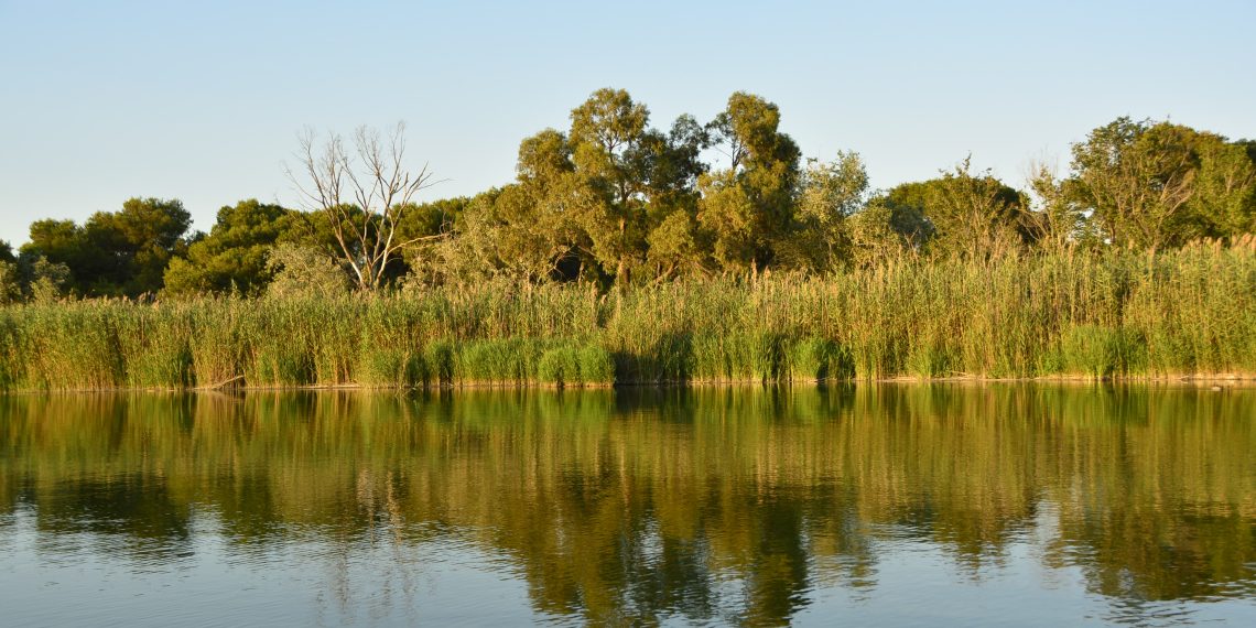 La Generalitat elevará hasta el 75% la reutilización de agua depurada en el área metropolitana de Valencia