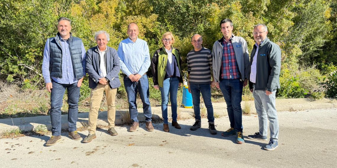 Nueva fase de retirada de pinos muertos en el Montgó por los efectos de la sequía