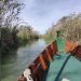 El Ayuntamiento retira 140 m³ de residuos de l’Albufera gracias al plan de empleo de la dana