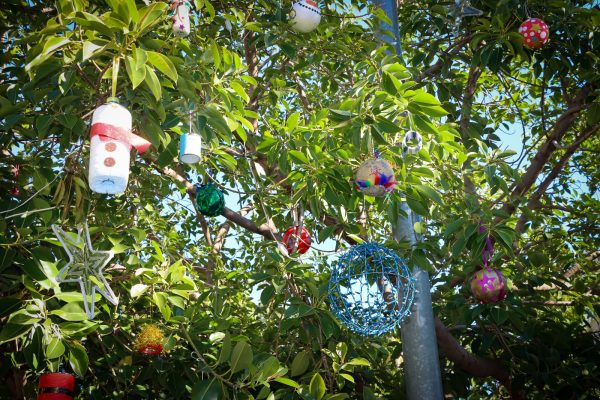 Diversos adornos navideños creados por los escolares decoran los ficus de la ciudad.