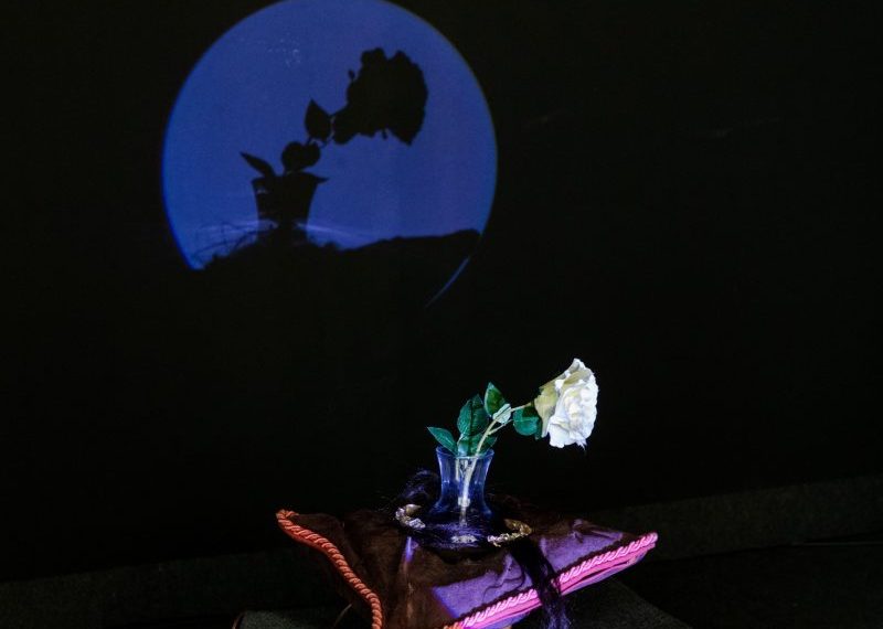 El IVAM da paso a una nueva generación de creadores valencianos en la muestra ‘Disputa y pausa’