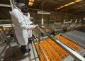 Las exportaciones agroalimentarias valencianas crecen un 8,7 % y alcanzan 7.402 millones