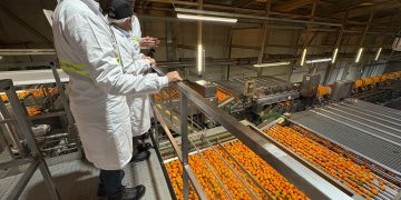 Las exportaciones agroalimentarias valencianas crecen un 8,7 % y alcanzan 7.402 millones