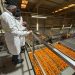 Las exportaciones agroalimentarias de la Comunitat Valenciana crecieron un 8,7 % en el primer semestre, hasta alcanzar los 7.402 millones de euros.