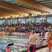 Nadadores valencianos competirán en el Campeonato de España de piscina corta.